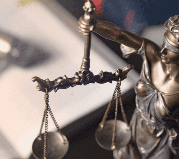 Constitutional Litigation