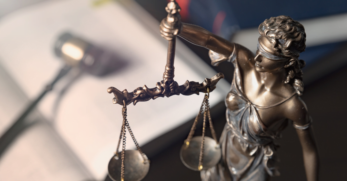 Constitutional Litigation
